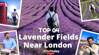 The Prettiest Lavender Fields Near London 💜🇬🇧 [upl. by Cini]