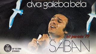 Saban Saulic  Dva galeba bela  Audio 1979 [upl. by Lorry766]