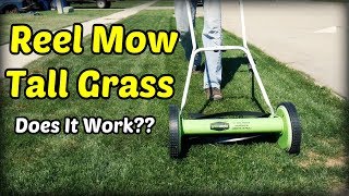 Reel Mowing Tall Grass [upl. by Edris]