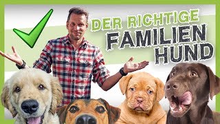 Die 5 besten Familienhunde den richtigen Hund finden [upl. by Aiseneg577]