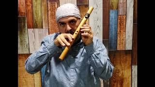 How to Play the Native American Flute in under 10 minutes EASY Lesson 1 [upl. by Bicknell]