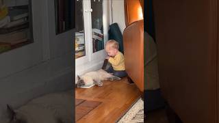 The little kid took revenge on the cat [upl. by Navac]