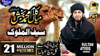 New Supper Hit Kalam Mian Muhammad Baksh  Saif ul Malook by Sultan Ateeq Rehman HD Official Video [upl. by Nosinned]