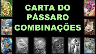 Baralho cigano  Combinação das cartas os PÁSSAROS [upl. by Adnolehs328]