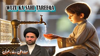 Shia Wazu Karne Ka Sahi Tarika  Practically Method  Maulana Ali Raza [upl. by Nwahsiek305]