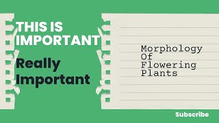 MORPHOLOGY OF FLOWERING PLANTS [upl. by Roux483]