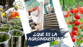 ¿Qué es la agroindustria [upl. by Liahkim82]