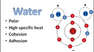 Water Chemistry [upl. by Cyrie306]