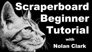 how to scratchboard  scratchboard drawing tutorial  scraperboard lesson [upl. by Eadie850]