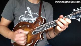 The Swallowtail Jig Mandolin [upl. by Noy]