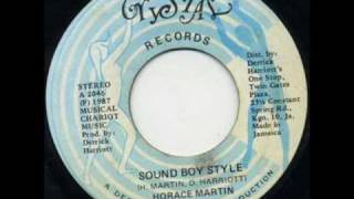 Horace Martin  Sound Boy Style Youthman Riddim [upl. by Ellehcirt]