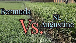 Bermudagrass vs St Augustinegrass  Warm Season Turf [upl. by Munson]