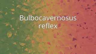 Bulbocavernosus reflex [upl. by Scever]