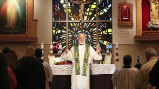 Sacraments 101 Holy Orders what ordination means [upl. by Gareri664]