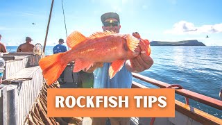 Rockfish Fishing Tips  Deep Sea Fishing in Southern California amp Orange County [upl. by Rains]