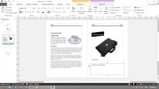 Como hacer un diptico con Publisher 2013 [upl. by Gran887]