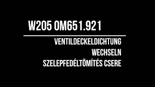 W205 OM651 Ventildeckeldichtung wechsel  Szelepfedéltömítés csere [upl. by Amla]