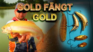 Forellenangeln bei Patricks Angelteiche  GOLD FÄNGT GOLD [upl. by Swan698]