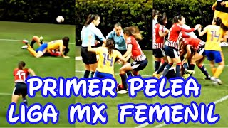 Pelea Andrea Sanchez vs Lizbeth Ovalle  Chivas vs Tigres  Liga MX Femenil [upl. by Av]