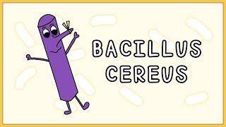 Bacillus cereus Simplified Morphology Types Symptoms Treatment [upl. by Wilfred]