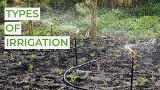 Types of Irrigation [upl. by Boothman]