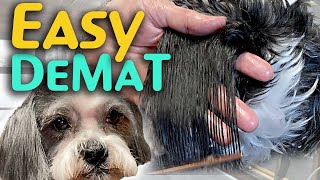 2 EASY WAYS to DeMat your DOG at home NATURALLY [upl. by Quitt896]