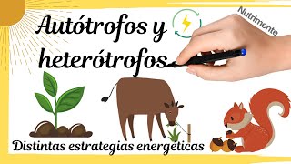 HETERÓTROFOS y AUTÓTROFOS Distintas estrategias energéticas [upl. by Leuqar]