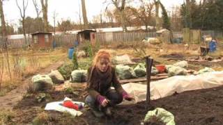 Winter work on the allotment with Alys Fowler [upl. by Grubb]