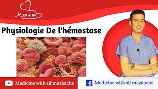 2 Physiologie de LHémostase  Physiologie 2ème MED [upl. by Edwina]