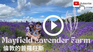 【香港人移民英國】倫敦近郊半日遊 ｜梅菲爾德薰衣草園 ｜夏日限定｜Mayfield Lavender Farm｜英國的普羅旺斯！？｜2022 Version [upl. by Aaron787]