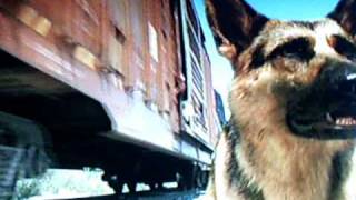 Beverly Hills Chihuahua scenes part 2 Warning The video contains spoilers [upl. by Evilc]