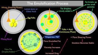 The Emulsification Process [upl. by Ahtelra526]