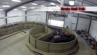 Brute Bud Tub [upl. by Munroe]