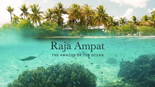 Raja Ampat  The Amazon of the Ocean [upl. by Viridissa505]