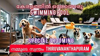 doggrooming specialise trivandrum malalayalam [upl. by Idahs]