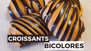 Comment faire des croissants bicolores Ma technique pour réussir des viennoiseries bicolores [upl. by Enamrej]