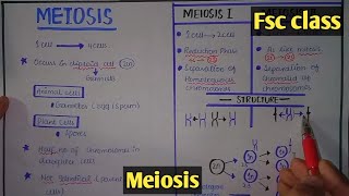 Meiosis  Cell Division  Class 12 Biology [upl. by Norby]