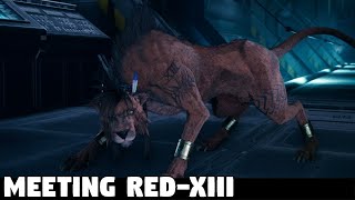 Final Fantasy 7 REMAKE  Meeting RedXIII [upl. by Ecnerwal]