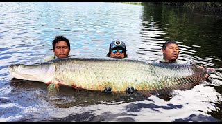 Arapaima of a Life Time Going Beast Mode [upl. by Nahguav277]