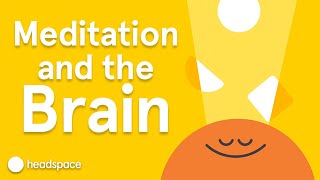 Meditations Impact on the Brain  Expert Videos [upl. by Kelby]