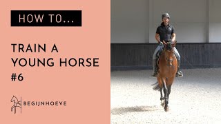 How to ride a young horse  Begijnhoeve  How to 6 [upl. by Ojoj]