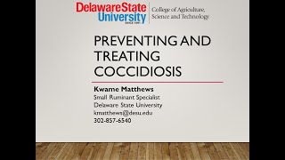 Preventing and treating coccidiosis [upl. by Waal668]