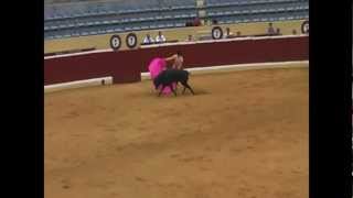 Bullfighting in Spain [upl. by Aretak]