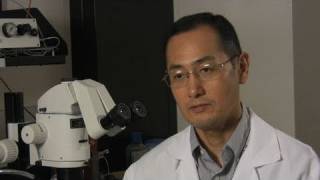 Interview with Nobel winner Shinya Yamanaka [upl. by Bunce]