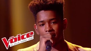 Lisandro Cuxi  « LEnvie daimer » Les 10 Commandements  The Voice 2017  Live [upl. by Enilorak569]