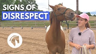 SIGNS A HORSE DOESN’T RESPECT YOU  Horse Behavior Guide [upl. by Madora]