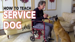 How to Teach Service Dog Skills to Your Dog [upl. by Chilson]