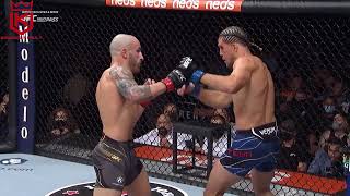 Alex Volkanovski Top Knockouts amp Highlights [upl. by Ahsait761]