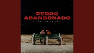 Perro Abandonado [upl. by Yerd]