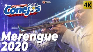 Merengue 2020  Internacionales Conejos [upl. by Ahsinav5]